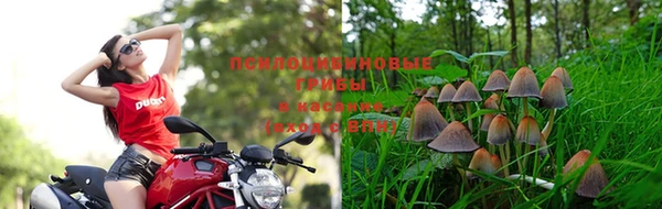 ALPHA PVP Балабаново