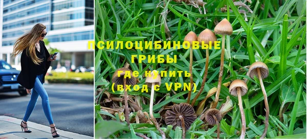 дживик Белокуриха